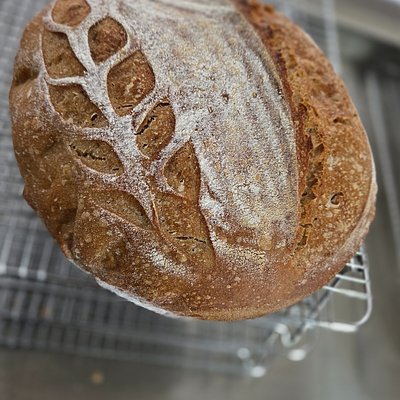 Whole Wheat, Rye, Spelt Sourdough 