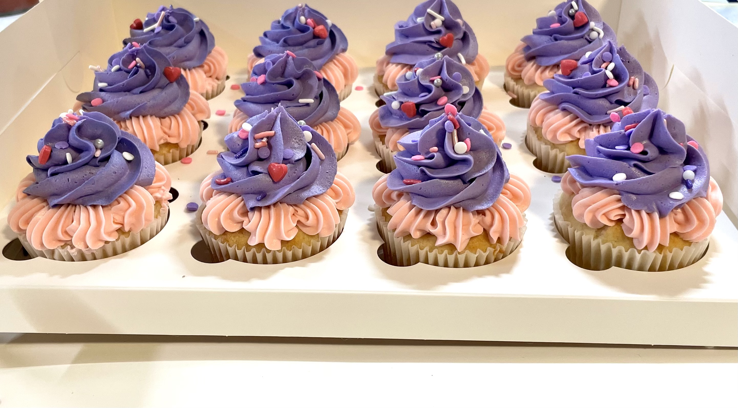 Vanilla Cupcakes