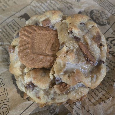 Campfire Smores