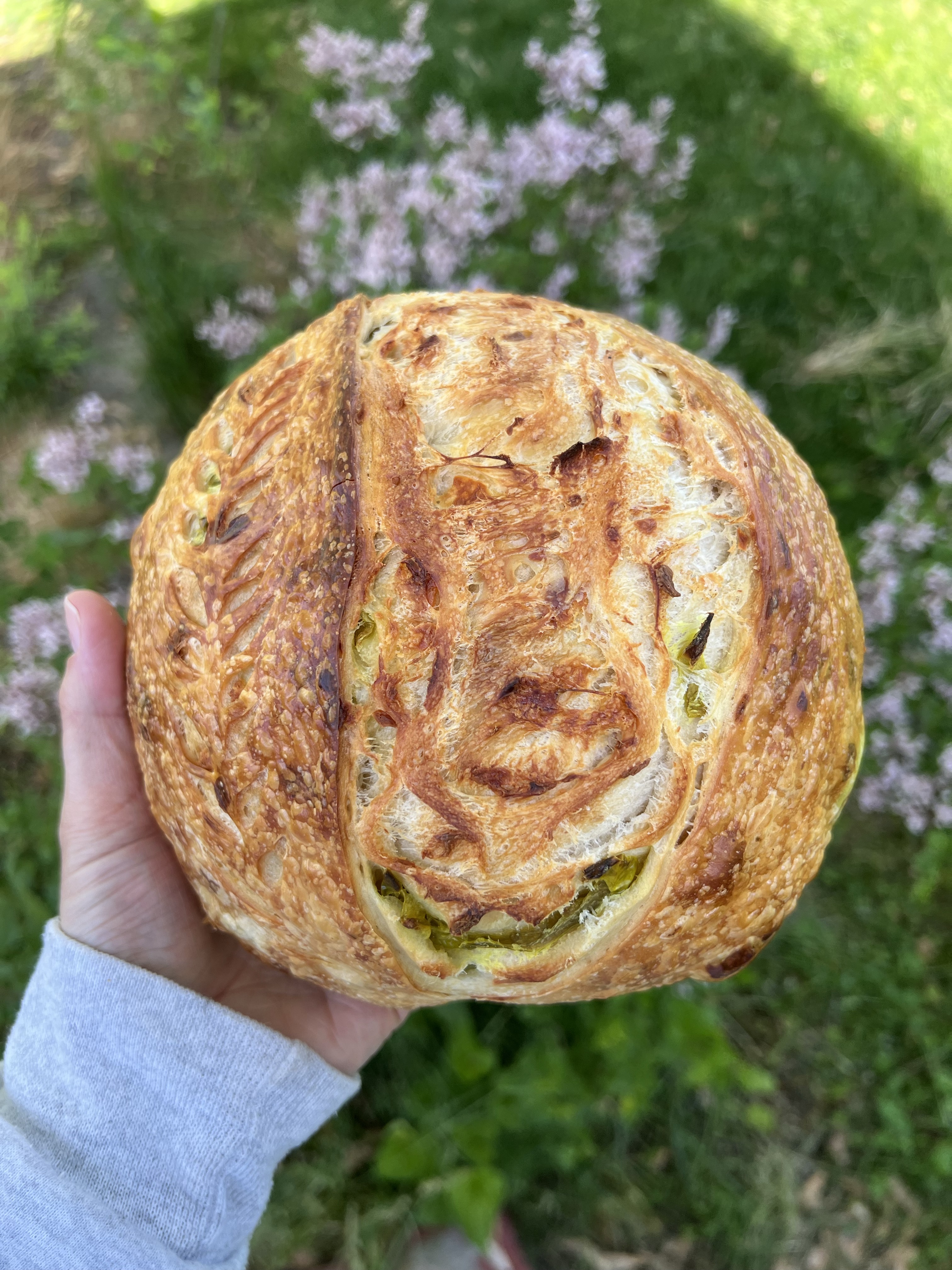 Jalapeño Cheddar Sourdough Bread
