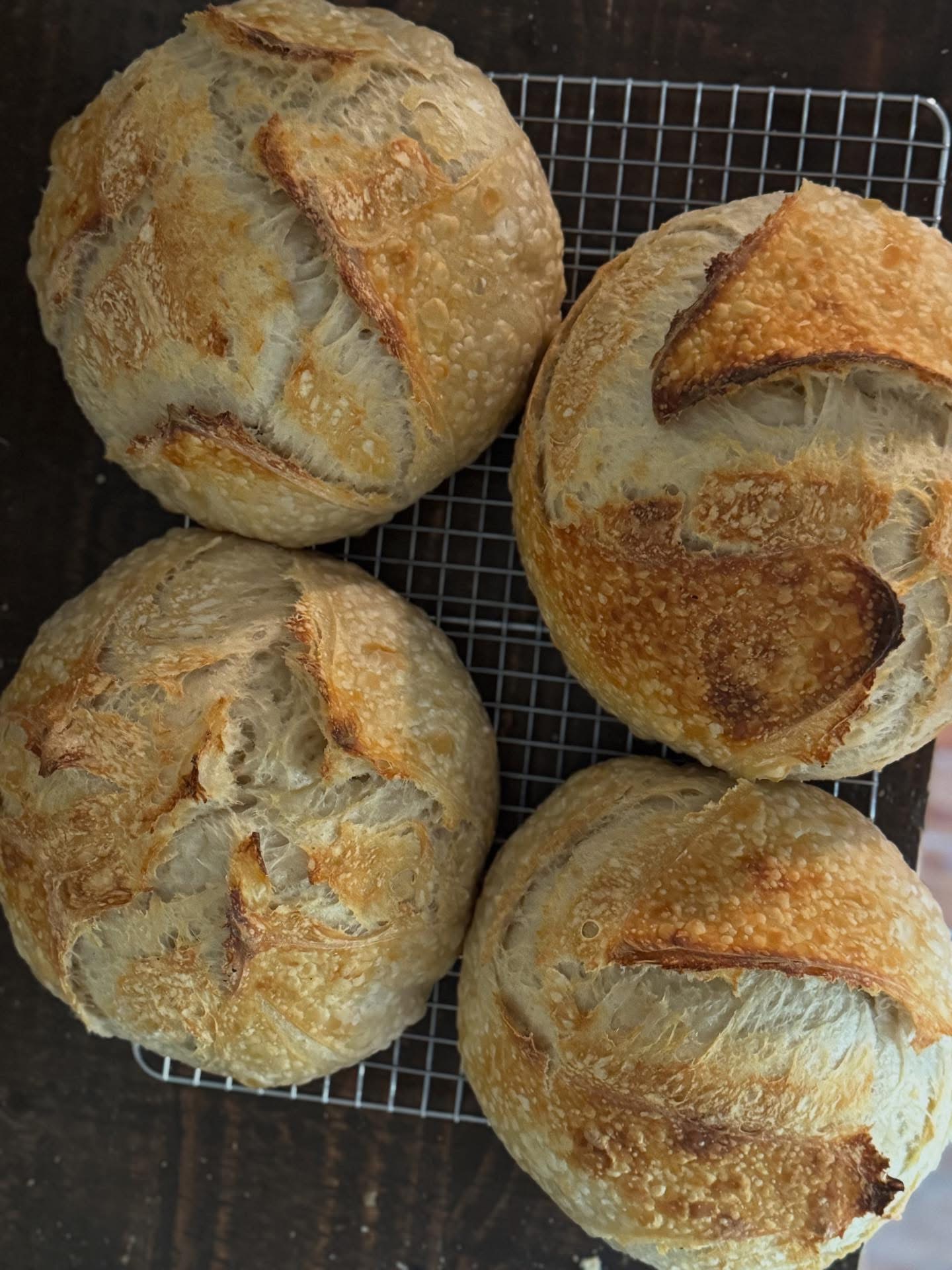 Organic Fresh-Milled Sourdough Boule 