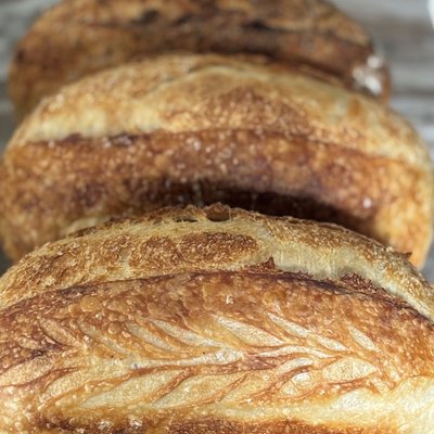 Loaf Of Plain Artisan Sourdough Bread