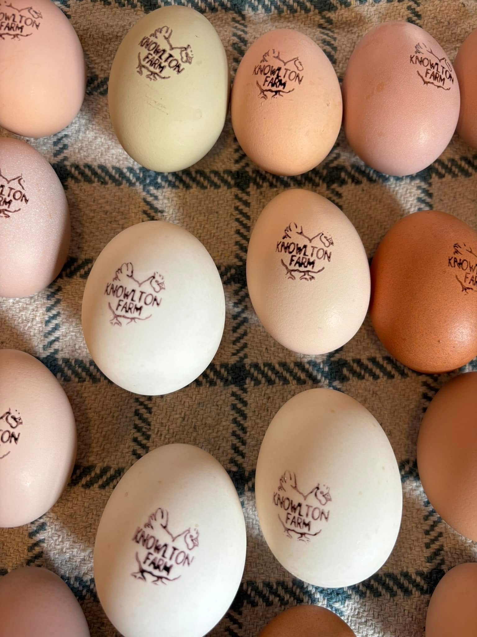 Farm Fresh Eggs