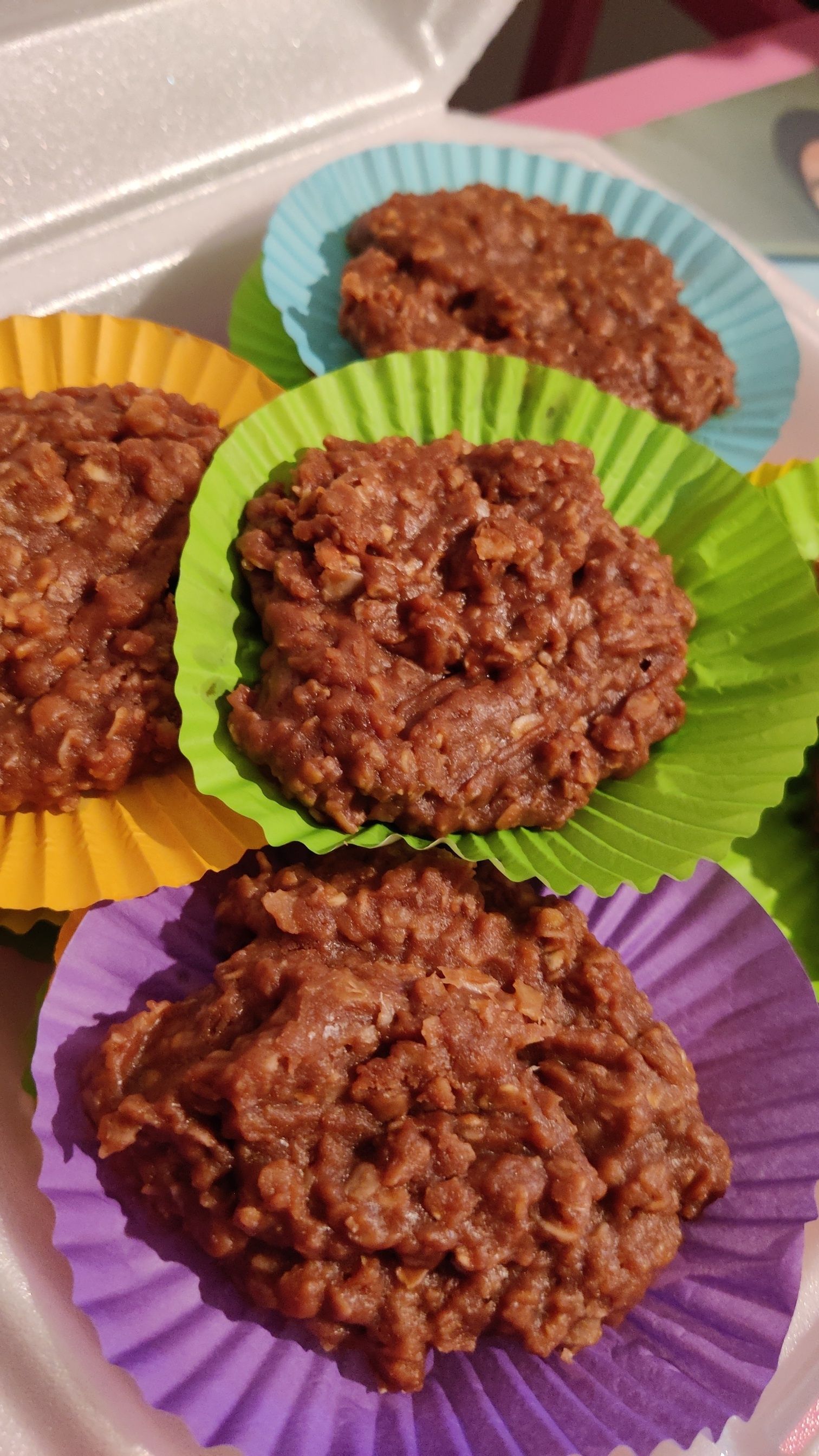 Gluten Free No Bake Cookies(13)