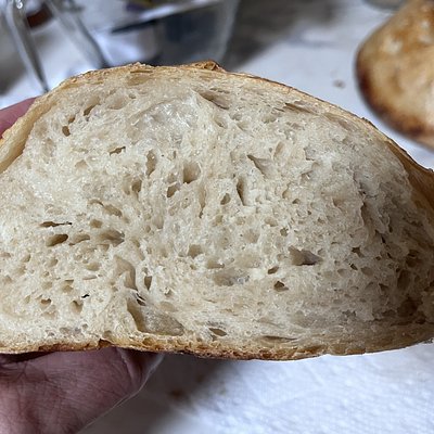 Sourdough Sandwich Bread Plain