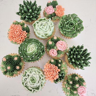 12 Succulent Cupcakes 