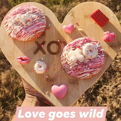 Love Gone Wild