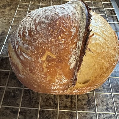 Original Artisan Style Bread
