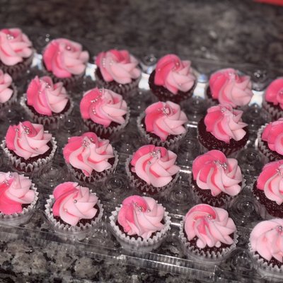 24 Mini Cupcakes 