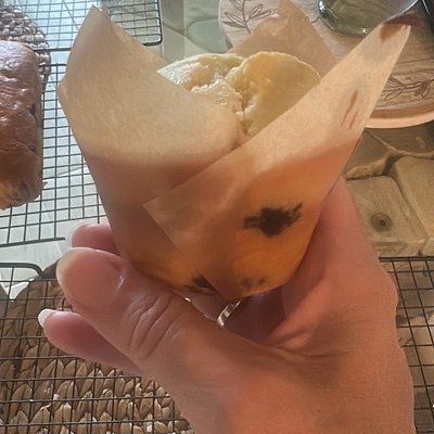 Lemon (organic poppyseed Optional) muffins 