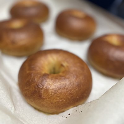 Plain Jane Sourdough Bagels