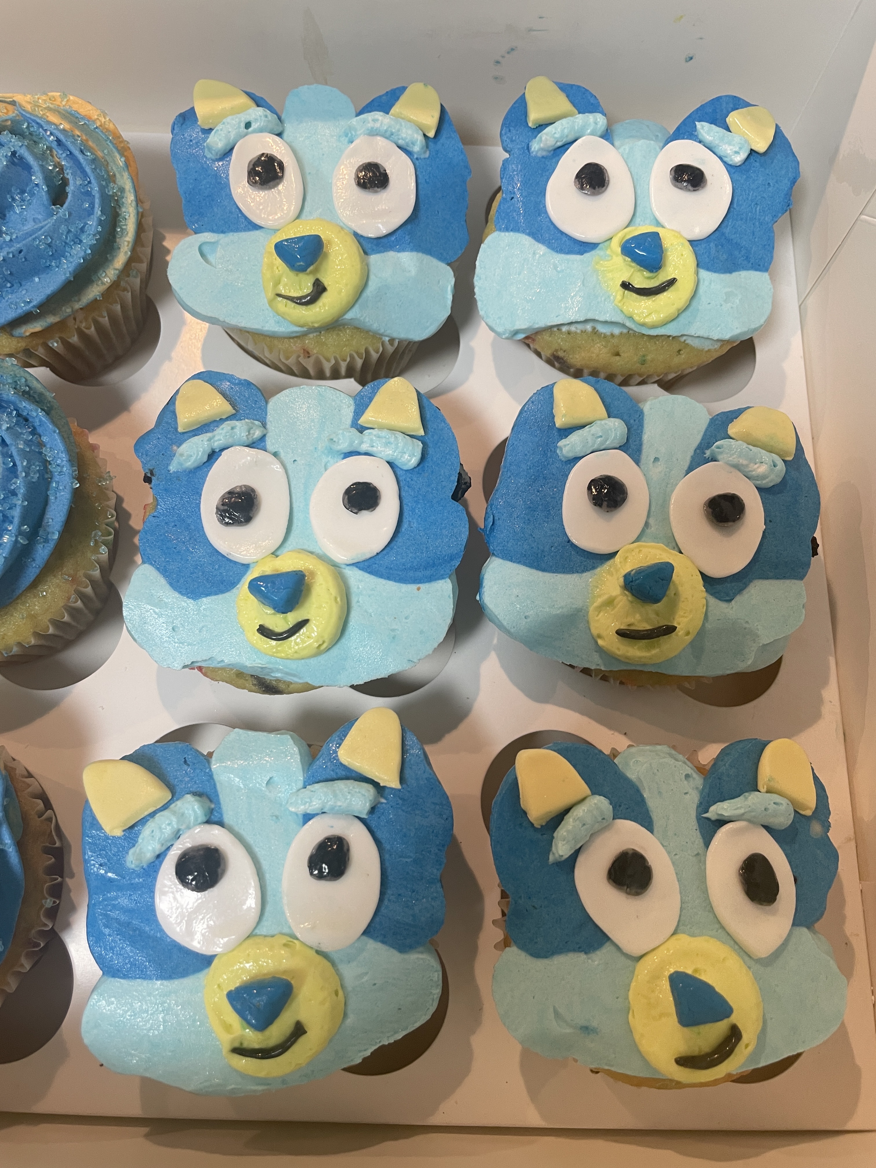 Bluey Theme Cupcakes 