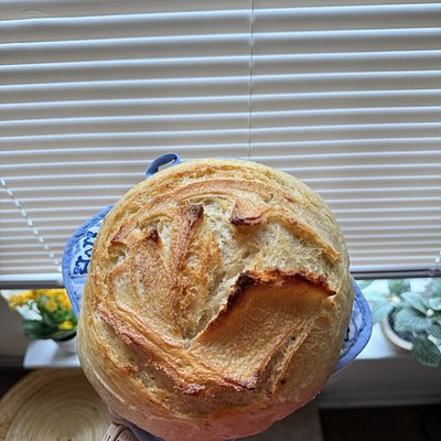 Sourdough Loaf (Italian Herb) 