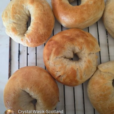 Plain Bagels (6l