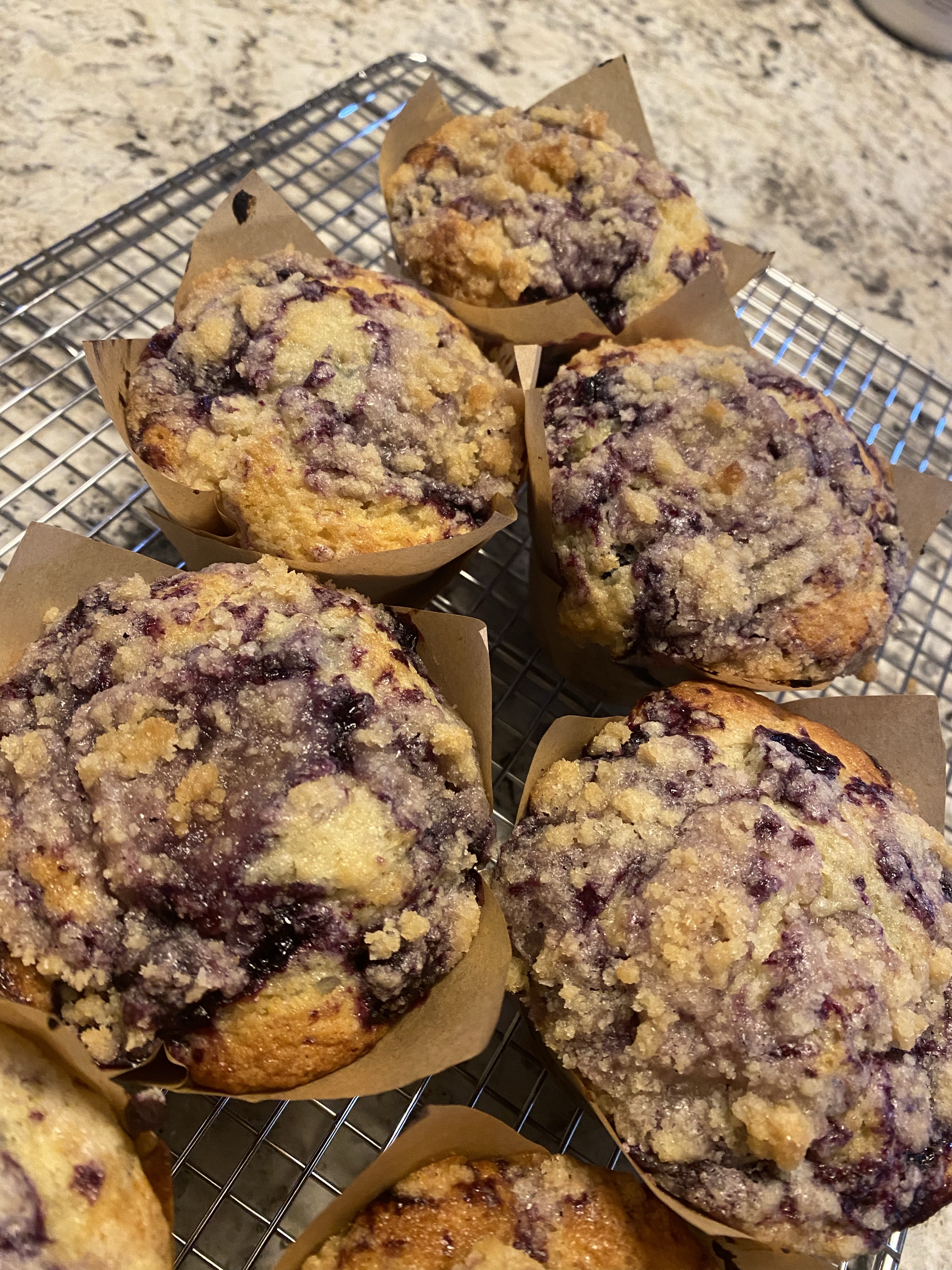Blueberry Muffins 