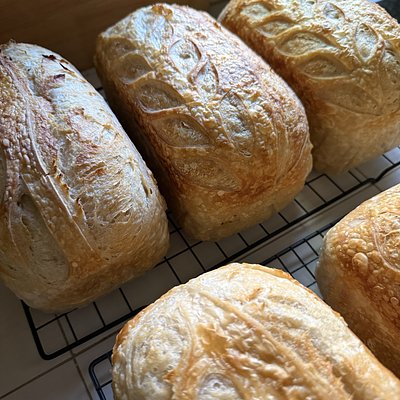 Roasted Garlic Loaf Pan Style 