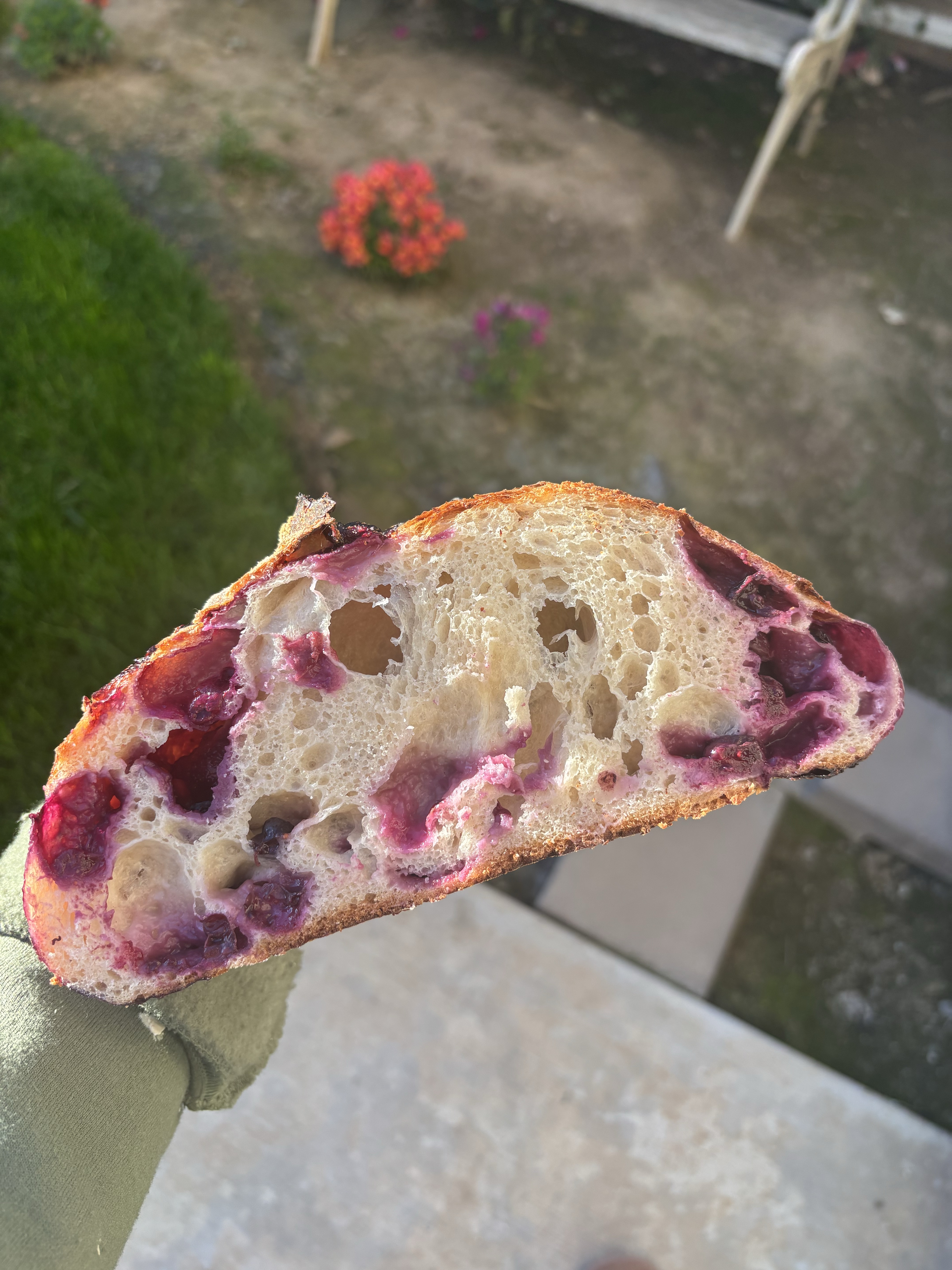 Blueberry Sourdough
