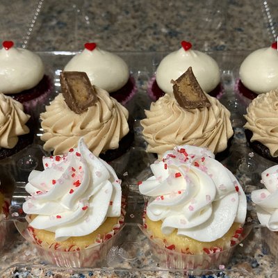 Assorted  Mini Cupcakes 