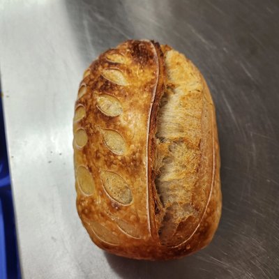 Garlic Rosemary Artisan Sourdough 