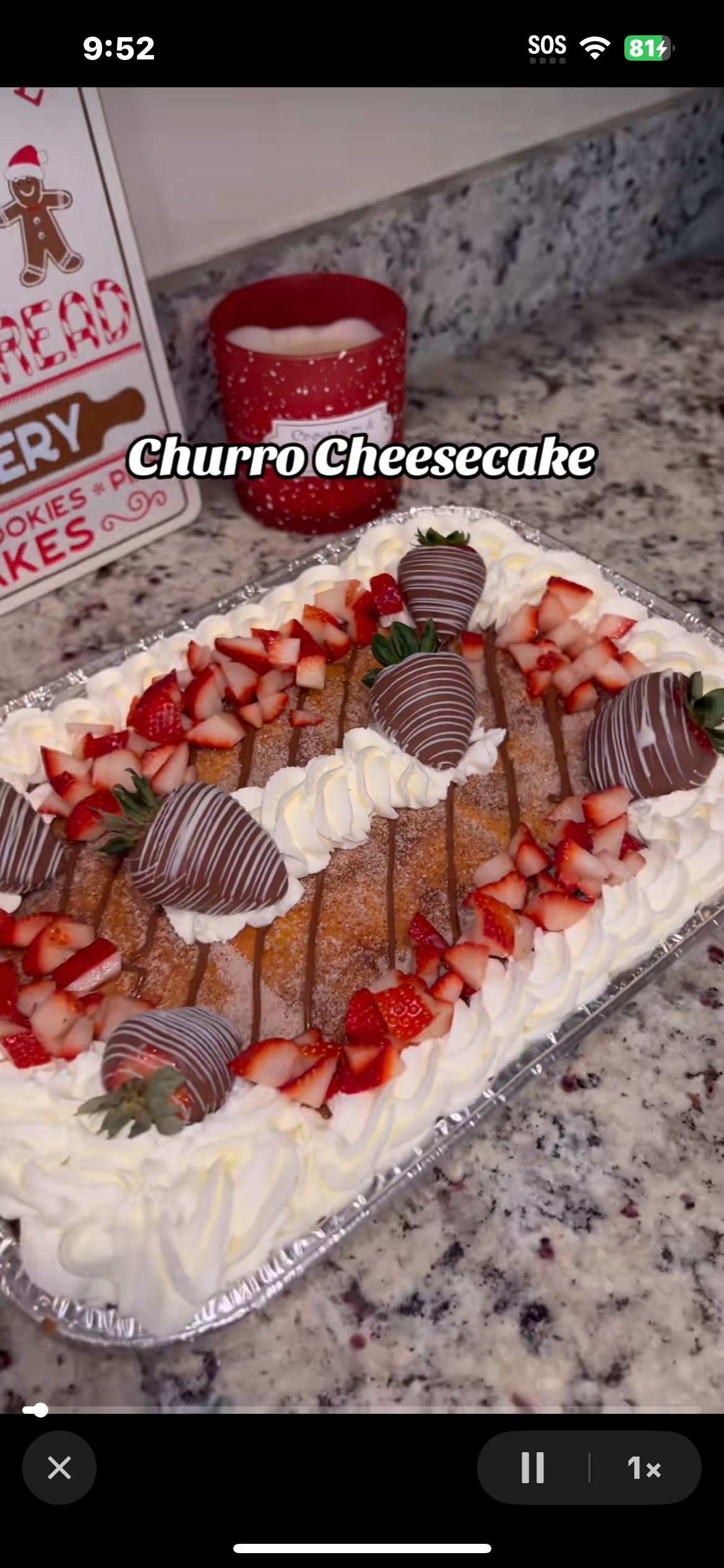 Churro Cheesecake Pan