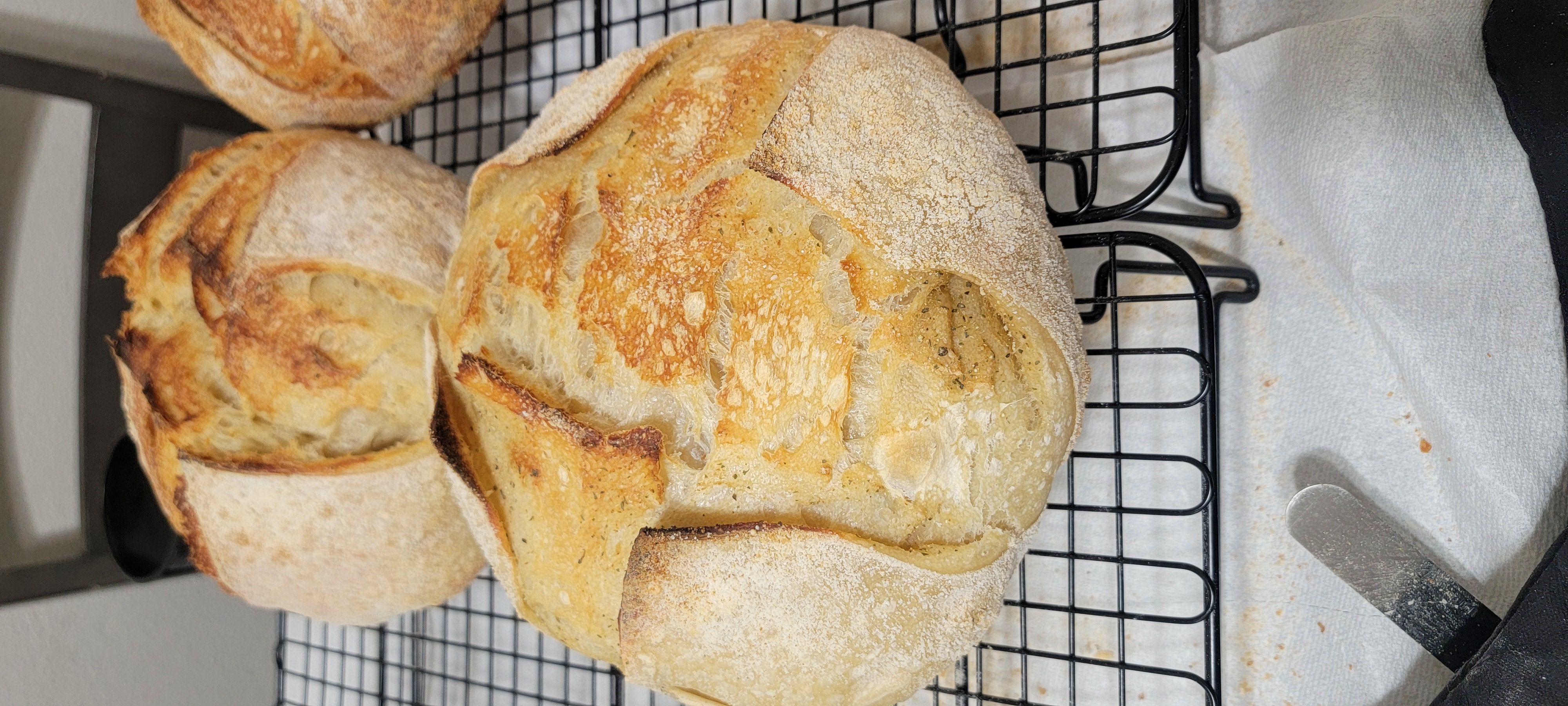 Sourdough 