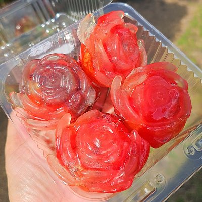 Fruit Roll Up Wrapped Mandarins