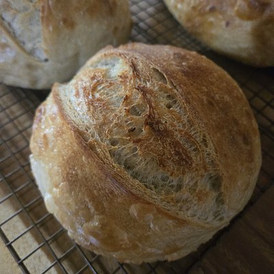 Sourdough Demi Boule