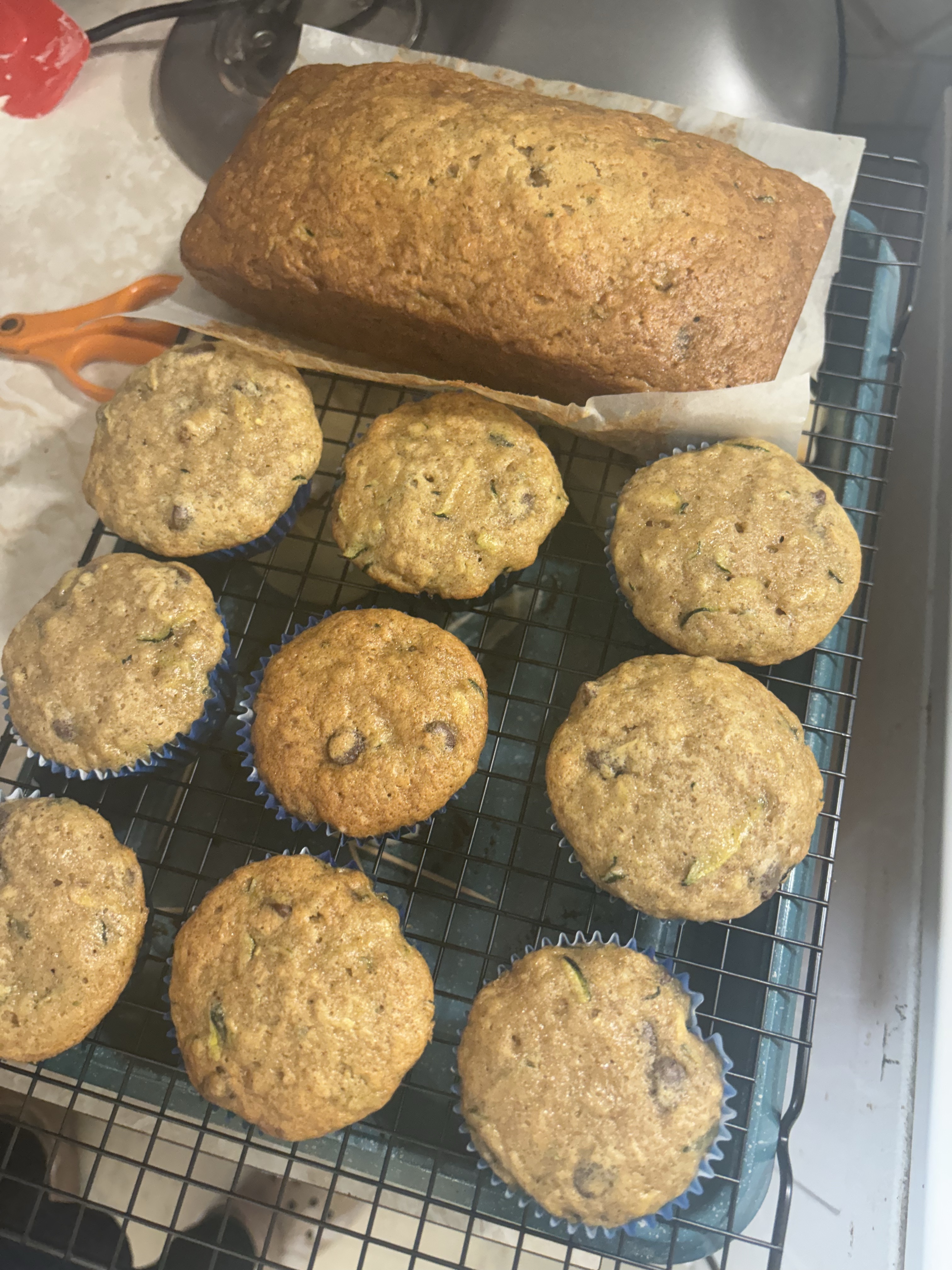 Zucchini Muffins 