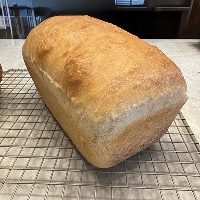 White Sandwich Sourdough