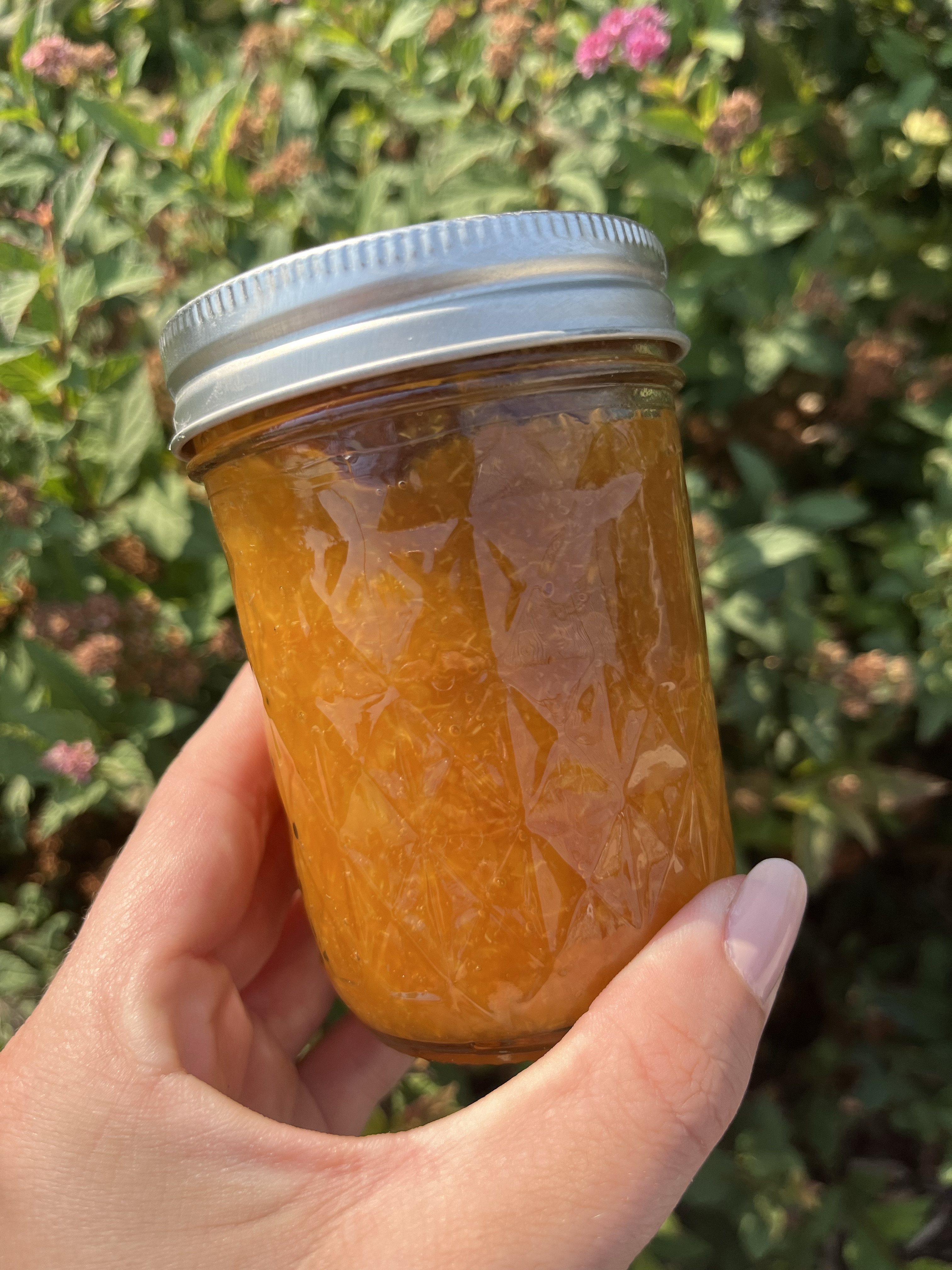 Apricot Jam