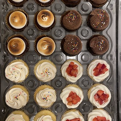 24 Cupcake Sample Box