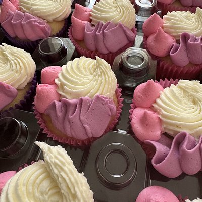 6 Inch Heart + 1 Cupcakes