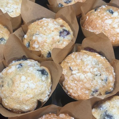 Sourdough Blueberry Muffins - 6 Count