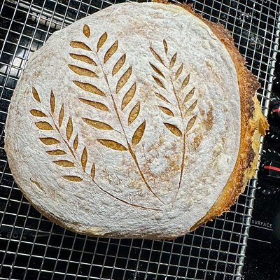 Sourdough Bread - Regular