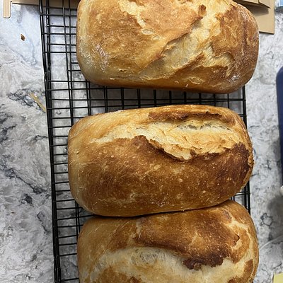 Sandwich Style White
