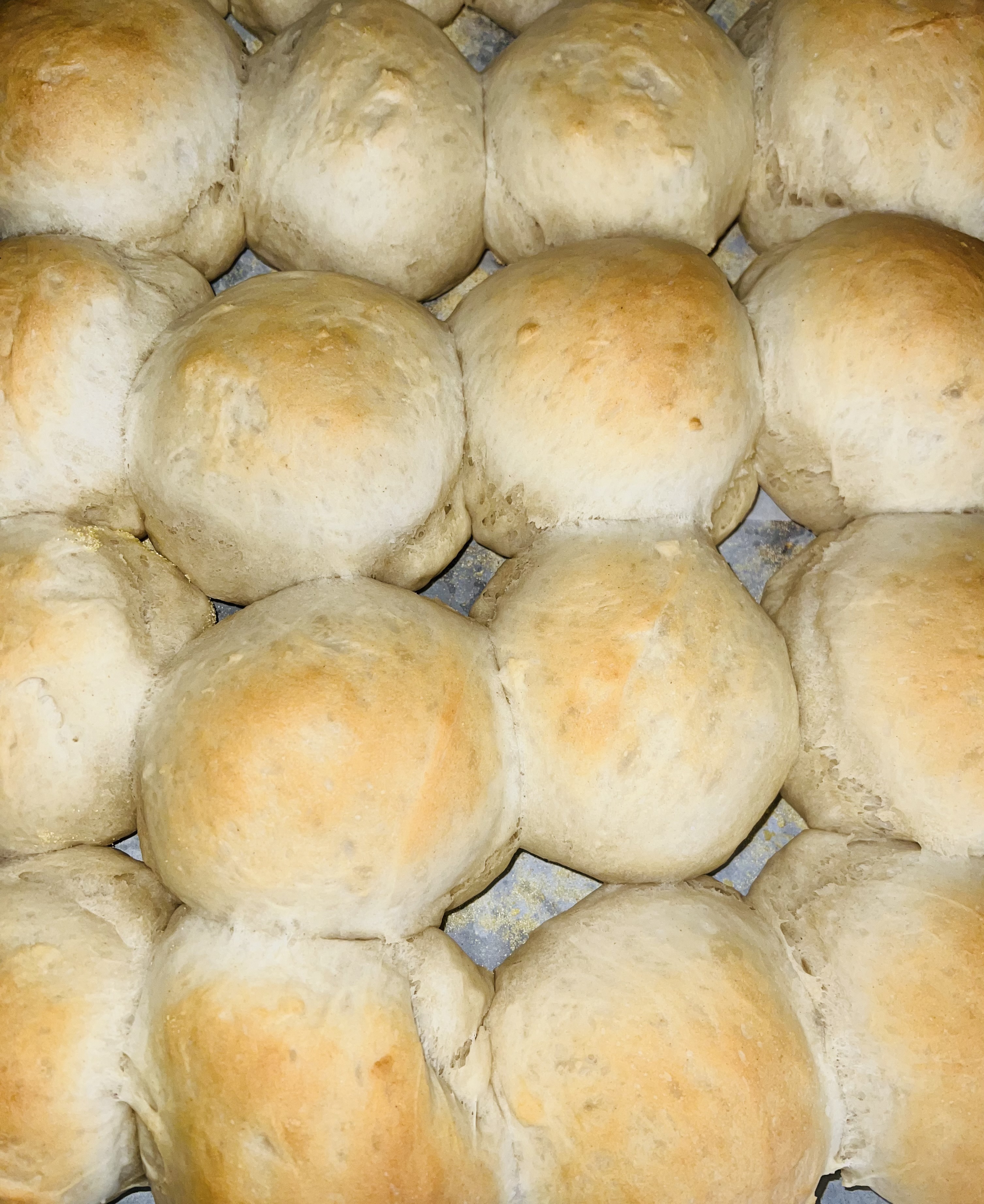Dozen Sourdough Dinner Rolls