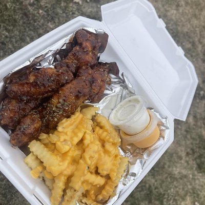 Wing Combo 