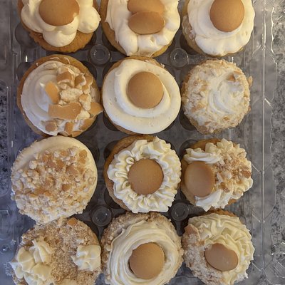 Cupcakes By The Dozen