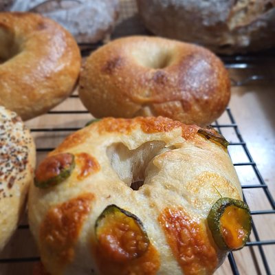 Gourmet Sourdough Bagels - Specialty Flavors (1/2 Dozen)