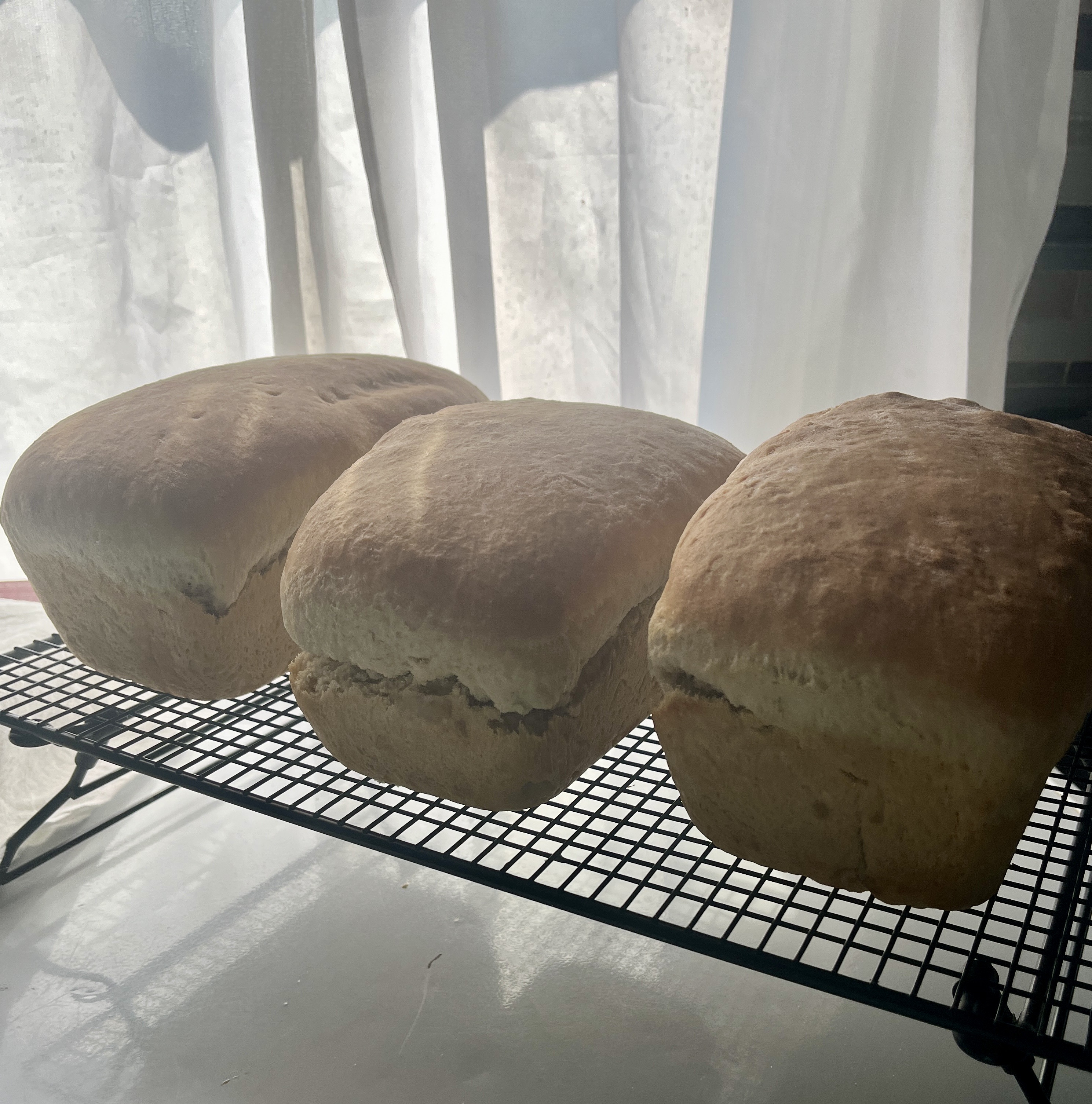 Sourdough Sandwich Bread 