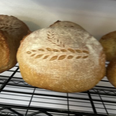Classic Sourdough (Organic)
