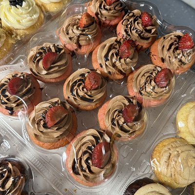 Chocolate Covered Strawberry 