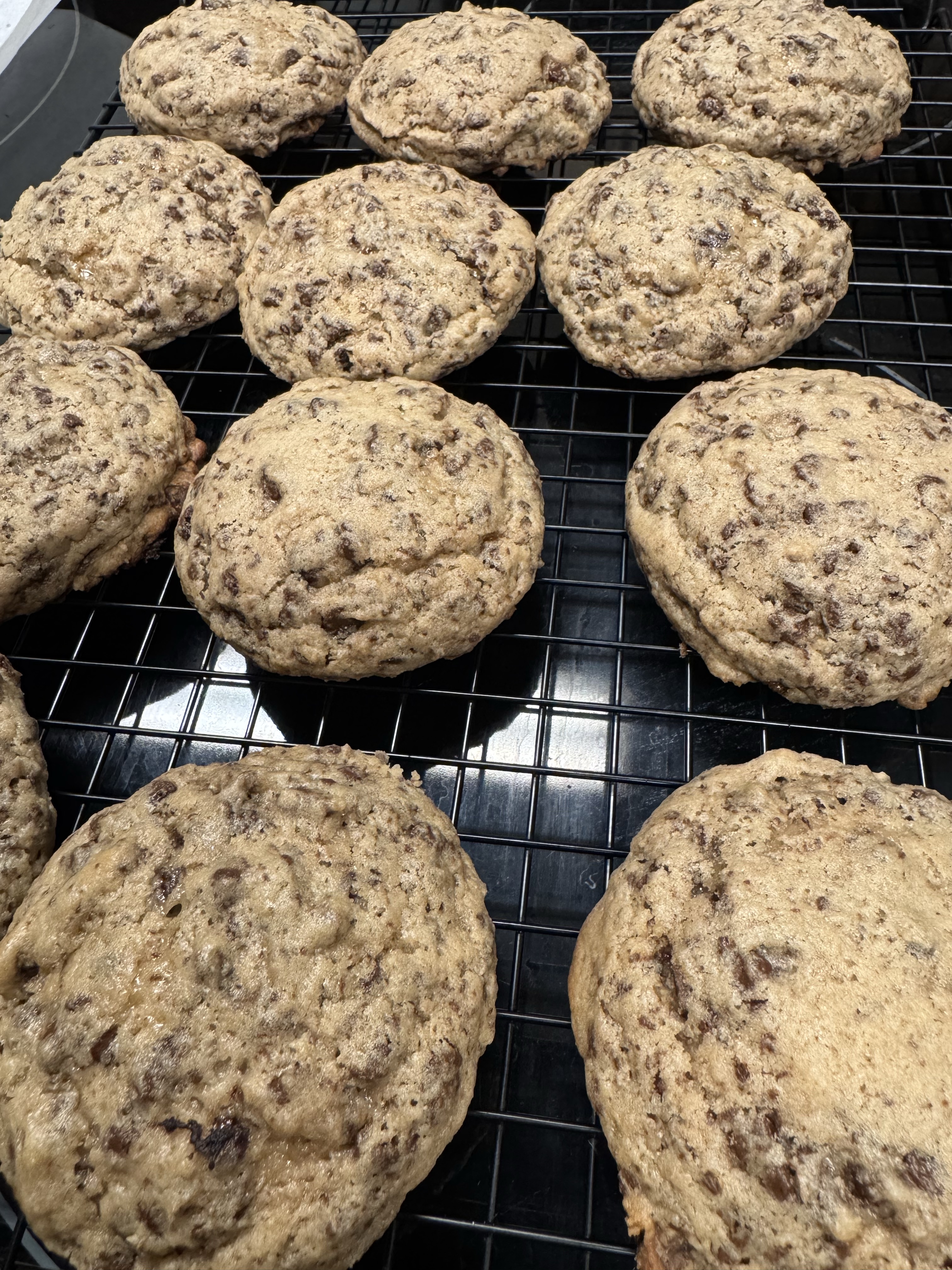 Frozen Sourdough Chocolate Chip Cookie Dough (6)