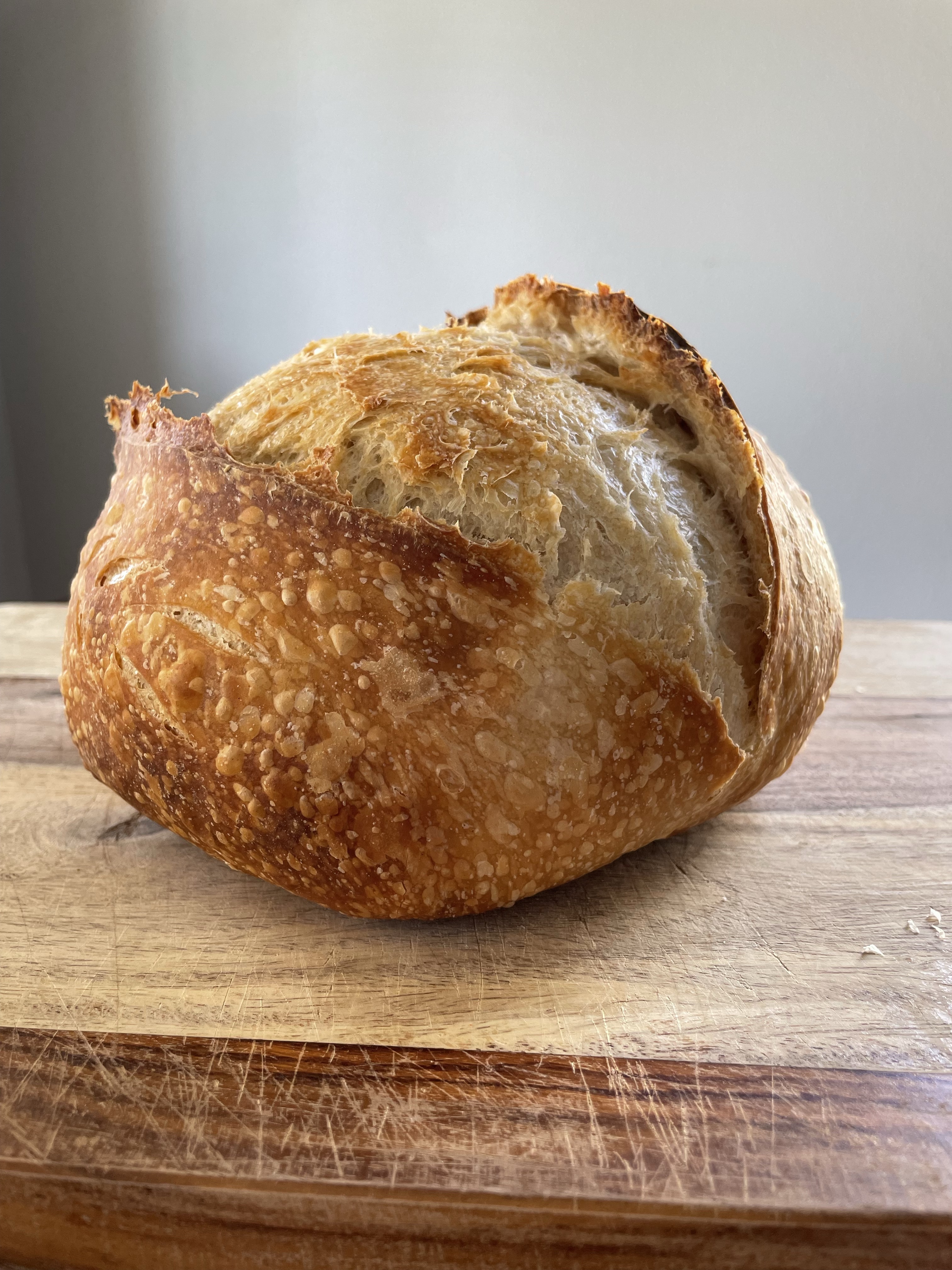 Classic Sourdough Boule 