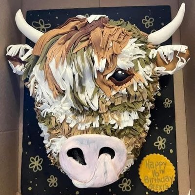 Sculpted Cakes