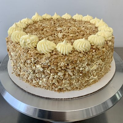 Sansrival 6”