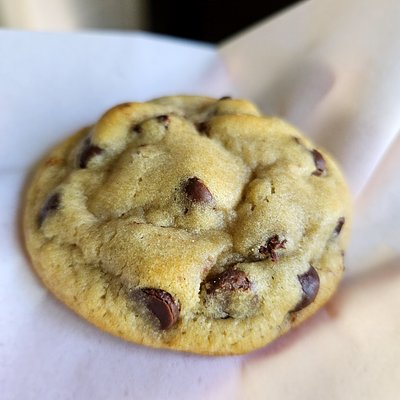 Chocolate Chip Cookies/1 Dozen