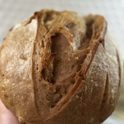 Country Sourdough 