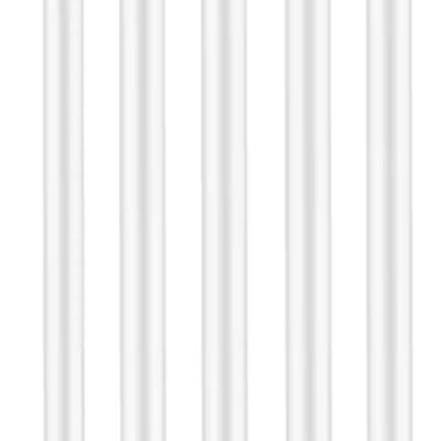 White Birthday Candles 