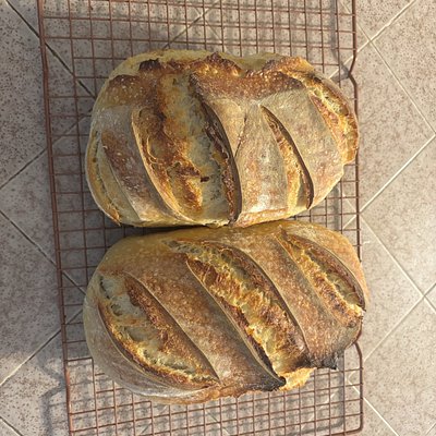 Artisan Sourdough 